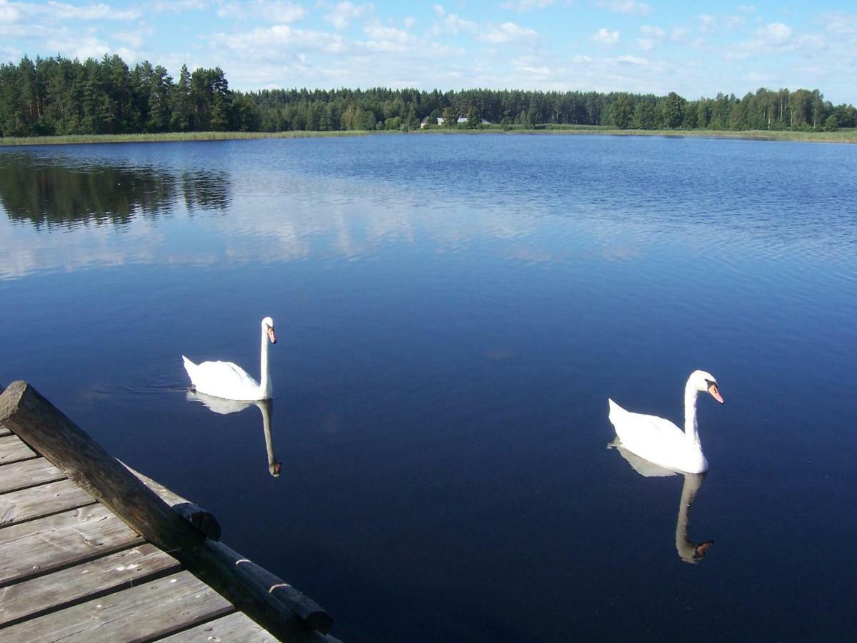 Domwigierski: Lakeside Comfort Farm with Private Beach and Sauna Wysoki Most  Exterior photo